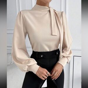 Luxe champagne tie neck blouse
